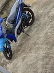 New Kymstone Husky 2026 Blue - 4