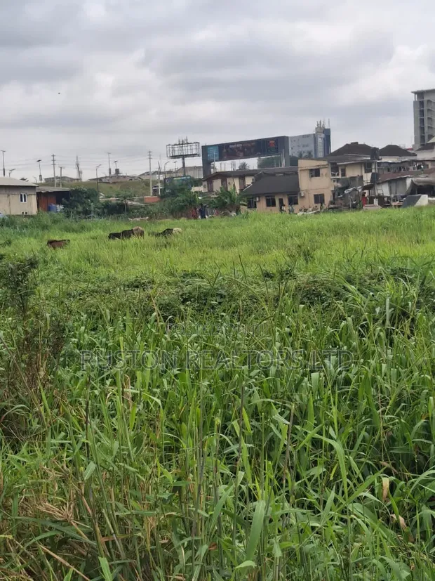 Prime Commercial Land for Sale - Ikeja - 1