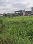 Prime Commercial Land for Sale - Ikeja - 1