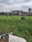 Prime Commercial Land for Sale - Ikeja - 4