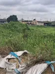 Prime Commercial Land for Sale - Ikeja - 5