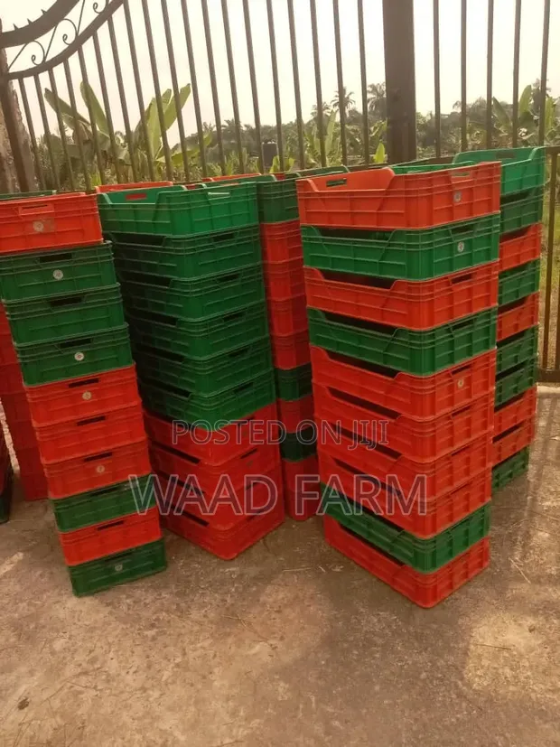 Waad Farm Crates Marasa Rijiya Masu Amfani Da Yawa - 1