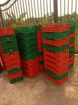 Waad Farm Crates Marasa Rijiya Masu Amfani Da Yawa - 1