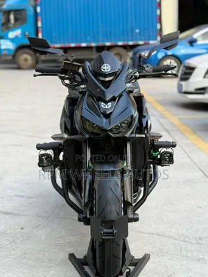 Kawasaki Ninja 1000 2016 Baki