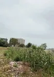 4,211.15 sqm Mixed-Use Land for Sale, Katampe Main, Abuja - 3