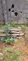 2.5 Acres (15 Plots) Kasuwanci/Zama a Lasu/Iba Rd, Alimosho - 1
