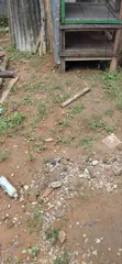 2.5 Acres (15 Plots) Kasuwanci/Zama a Lasu/Iba Rd, Alimosho - 2