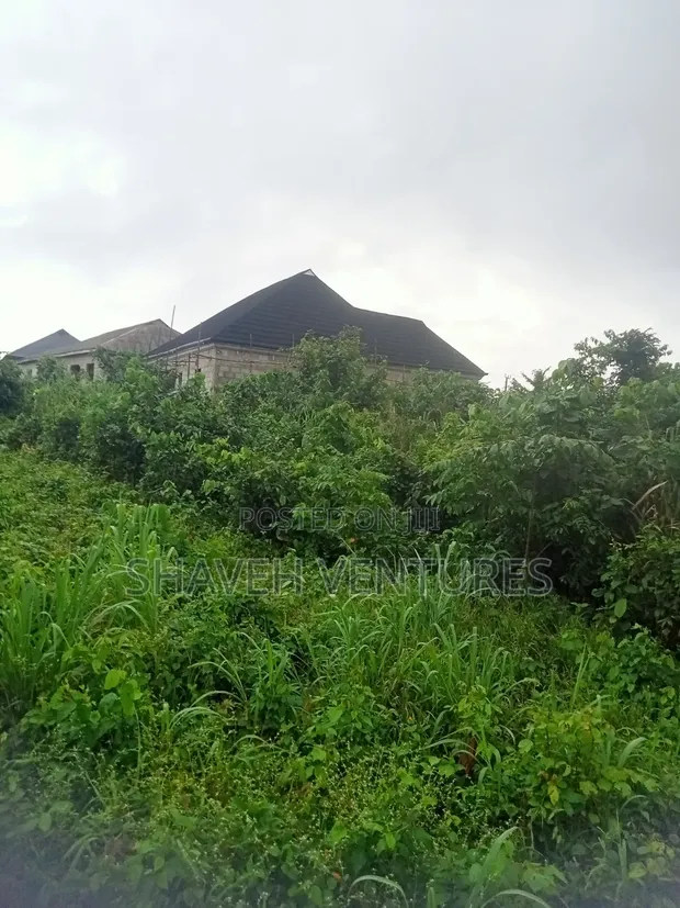 Hilltop Land for Sale, Arobieye Ajibola Farm - 1