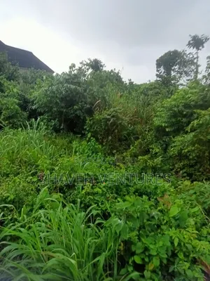 Hilltop Land for Sale, Arobieye Ajibola Farm
