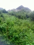 Hilltop Land for Sale, Arobieye Ajibola Farm - 5