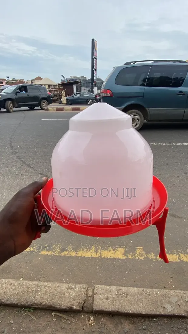 Adult and Chick Poultry Feeders & Drinkers - 1