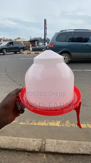 Adult and Chick Poultry Feeders & Drinkers