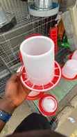 Adult and Chick Poultry Feeders & Drinkers - 2
