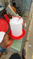 Adult and Chick Poultry Feeders & Drinkers - 3