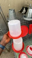 Adult and Chick Poultry Feeders & Drinkers - 5