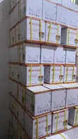 Hi Star 40AH Deep Cycle Battery - 2