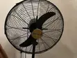 Nexus Big Industrial Fan - Brand New - 1