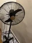 Nexus Big Industrial Fan - Brand New - 2