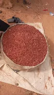 Sabon Gyada (Geda) - Jan & Fari - 1