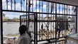 Ginin Benaye 6 na Flats don Hayar Kasuwanci a Igando - 2