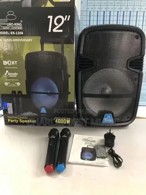 Professional EK Model 1204 PA Speaker Wireless
