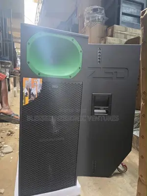 Professional Double 15-Inch Acoustic Speaker