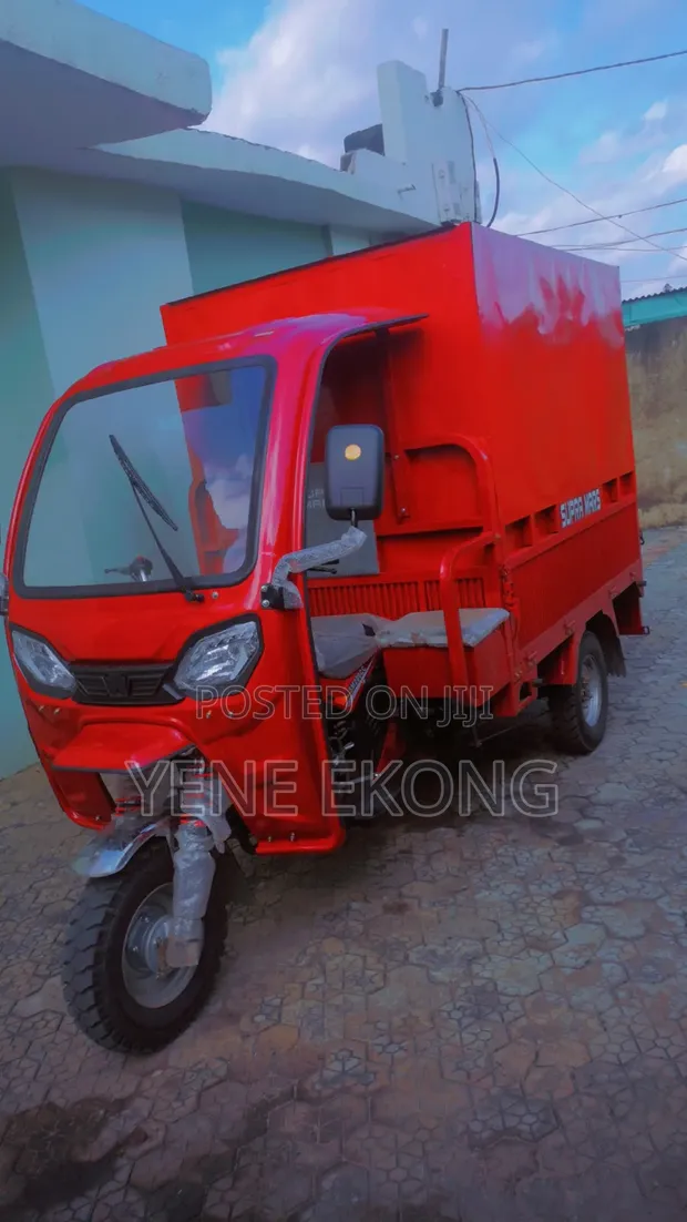 Brand New 2025 Red 200cc Cargo Tricycle - 1