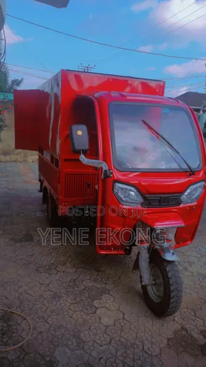 Brand New 2025 Red 200cc Cargo Tricycle