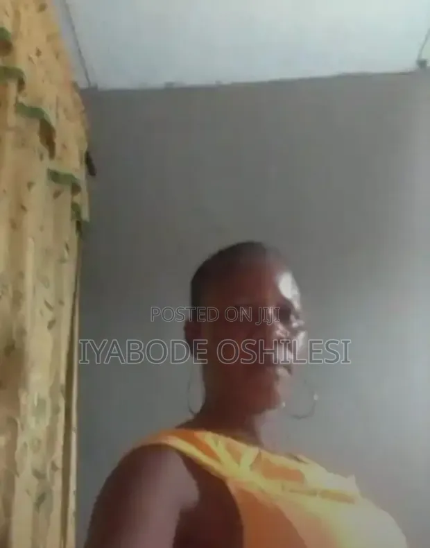 Hardworking Cleaner Services - ₦80,000/Month - 1