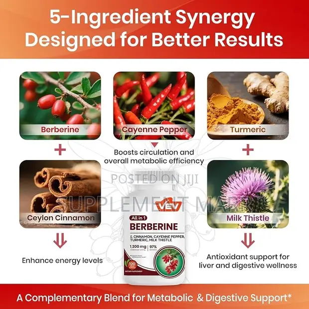 All-in-1 Berberine, Cinnamon, Cayenne, Turmeric, Milk Thistle 1200mg - 1