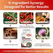 All-in-1 Berberine, Cinnamon, Cayenne, Turmeric, Milk Thistle 1200mg - 1