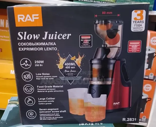 RAF Slow Juicer 250W - 1