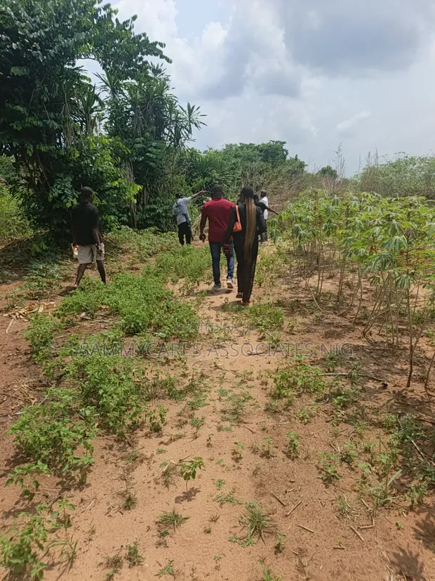Akurulo Phase 2 Land for Sale, Obosima Owerri - 1