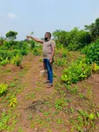 Akurulo Phase 2 Land for Sale, Obosima Owerri - 3