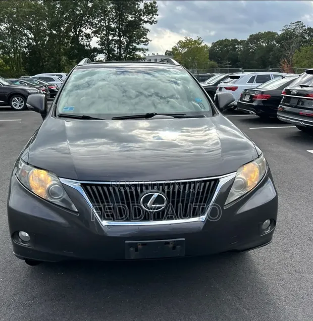 Lexus RX 350 2010 Grey - 1