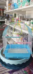 Fancy Medium Cages for Lovebirds & Parrots - 1