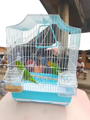 Fancy Medium Cages for Lovebirds & Parrots