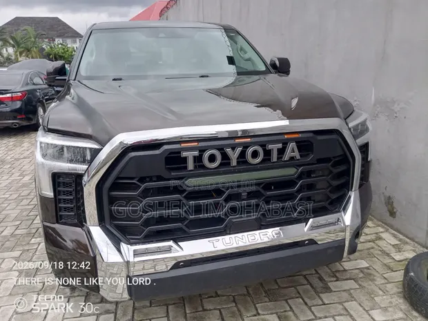 2024 Toyota Tundra Brown - 1