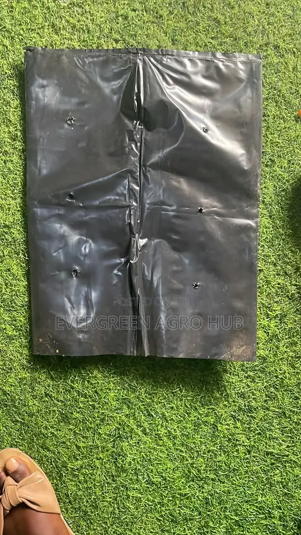 Nursery Grow Bags (Bundle) - 1