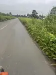 Filaye 7 na Ƙasa da Takardar Mallaka a Omagwa, Igweocha - 2