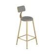 Modern Minimalist Gold Bar Stool Mai Bakar Cushion - 2