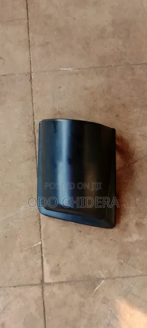 Toyota Coaster Side Mirror Cover (2015)