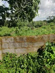 2 Plots of Land for Sale at GRA Ondo - 1