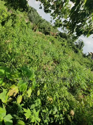 2 Plots of Land for Sale at GRA Ondo