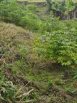 3 Plots na Sayarwa a UNIMED Permanent Site, Ondo - 2
