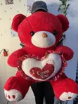 BabySmart 65cm Sitting Teddy Bear - 1