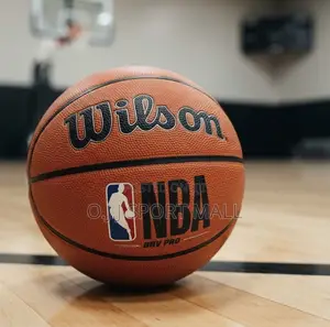 NBA Wilson Basketball - Brand New Indoor/Outdoor