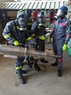 Phemjosh Cleaning: Fumigation & Pest Control Services
