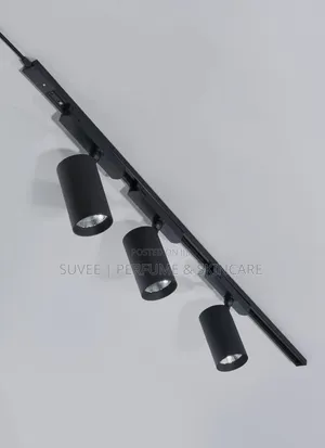 3-in-1 Track Light