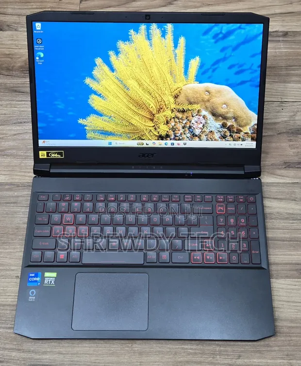Acer Nitro 5 Laptop: Intel Core i7, 16GB RAM, 512GB SSD - 1